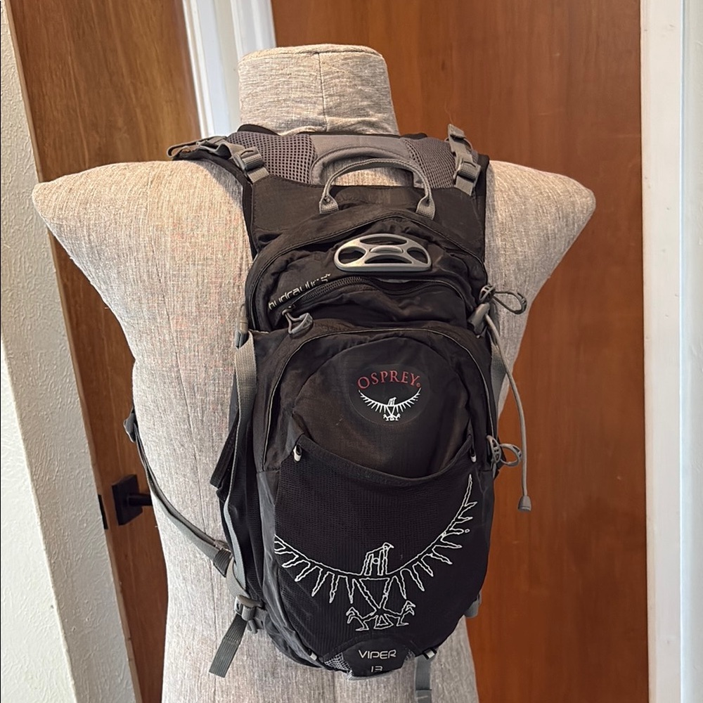 Osprey Black Men's Viper 13 Backpack